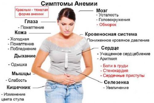 Симптомы нехватки железа в организме